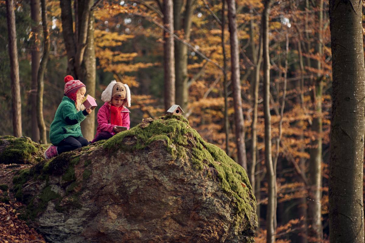 Ihr Wanderurlaub im bayerischen Wald  Familotel Schreinerhof