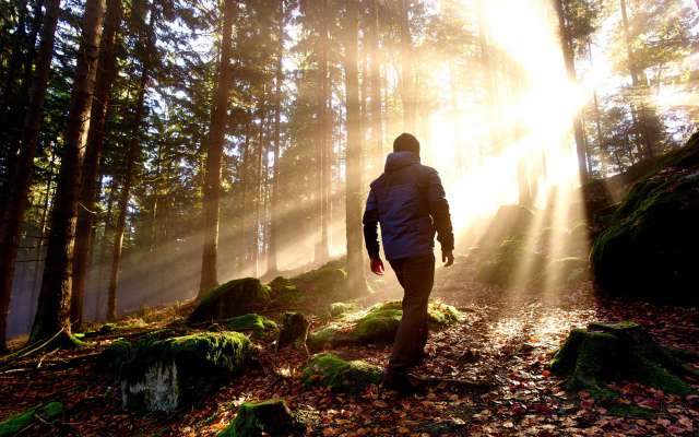 Ihr Aktivurlaub Im Bayerischen Wald - Familotel Schreinerhof