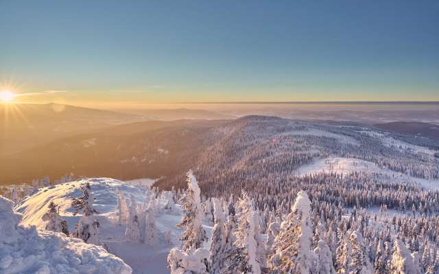 Infos Zum Nationalpark Bayerischer Wald - Familotel Schreinerhof